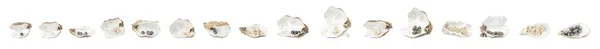 Set Beautiful Pearls Oyster Shells White Background Banner Design — 스톡 사진