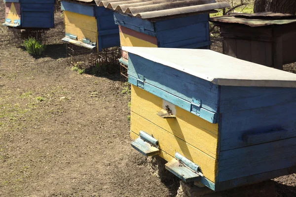 Many Color Bee Hives Apiary Outdoors — Stock Fotó