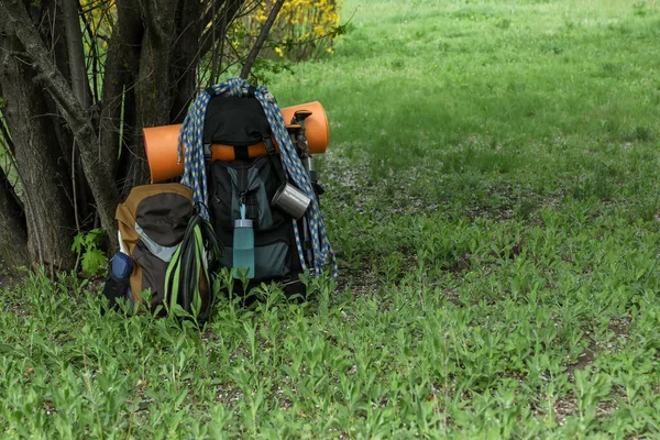 Backpacks Hiking Equipment Tree Green Grass Space Text — Fotografia de Stock