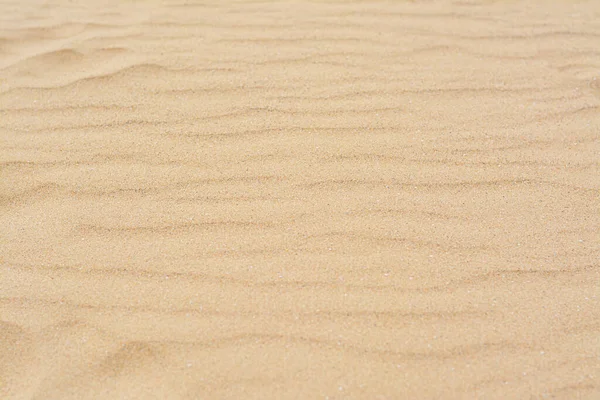 Torr Strand Sand Med Våg Mönster Som Bakgrund — Stockfoto