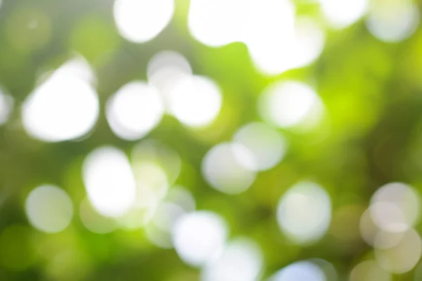 Wazig Zicht Groene Boom Buiten Bokeh Effect — Stockfoto