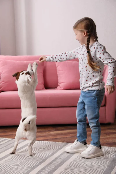 Evde Sevimli Küçük Bir Kız Köpeğiyle Oynuyor Çocukluk Hayvanı — Stok fotoğraf