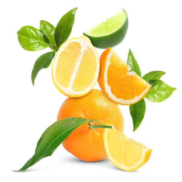Färska Saftiga Citrusfrukter Och Gröna Blad Vit Bakgrund — Stockfoto