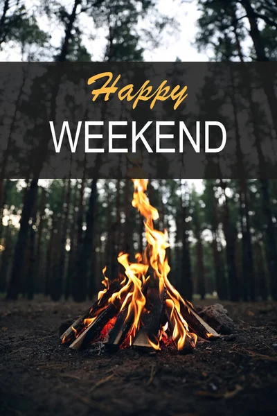 Happy Weekend Beautiful Bonfire Burning Firewood Forest — Zdjęcie stockowe