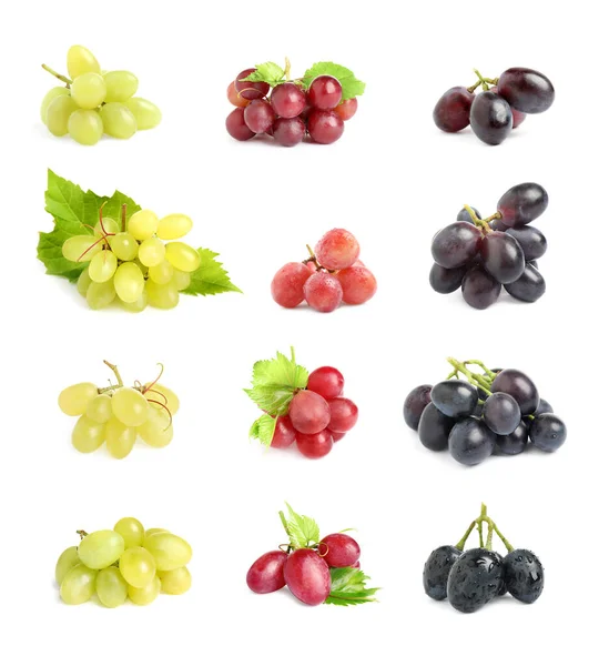 Set Different Fresh Ripe Grapes White Background — Stok fotoğraf