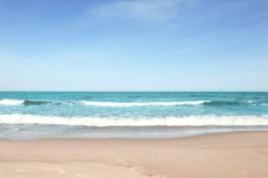 Güneşli bir günde bulanık deniz ve kumlu plaj manzarası