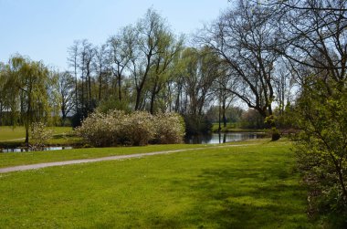 Beautiful park with pond on sunny day. Picturesque spring landscape