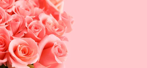 Ramo Hermosas Rosas Sobre Fondo Rosa Espacio Para Texto Diseño — Foto de Stock