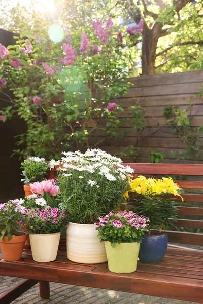 Bir sürü güzel çiçek açan bitkiler var. Ağaçtan bir bankta, açık havada.