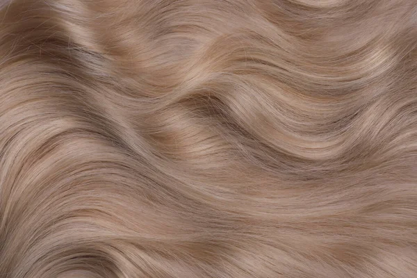 Beautiful Blonde Hair White Background Top View — Foto de Stock