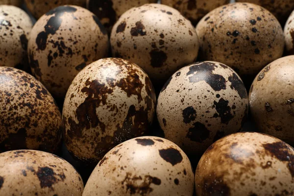 Many Fresh Quail Eggs Background Closeup — Foto de Stock