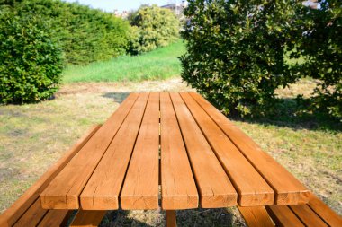 Güneşli bir günde parkta boş ahşap piknik masası