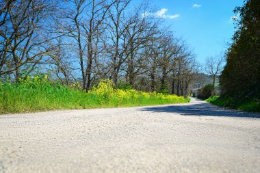 Asfalt yolu güneşli bir günde kırsalda koşuyor