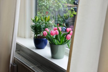 Pembe laleli güzel bir buket ve beyaz pencere pervazına konmuş zambak.