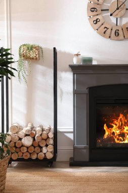 Elektrik şöminesi ve güzel dekor elementleri olan şık bir oda.