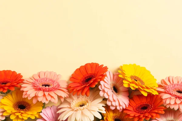 Gyönyörű Színes Gerbera Virágok Bézs Háttér Lapos Laikus Szöveg Helye — Stock Fotó