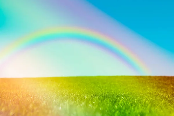 Picturesque View Green Meadow Beautiful Rainbow Blue Sky Sunny Day — Stock Photo, Image