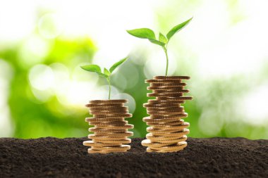 Stacked coins and green seedlings on soil against blurred background