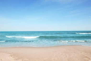 Güneşli bir günde bulanık deniz ve kumlu plaj manzarası