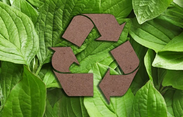 Recycling Symbool Gesneden Uit Kraftpapier Verse Groene Bladeren Achtergrond — Stockfoto