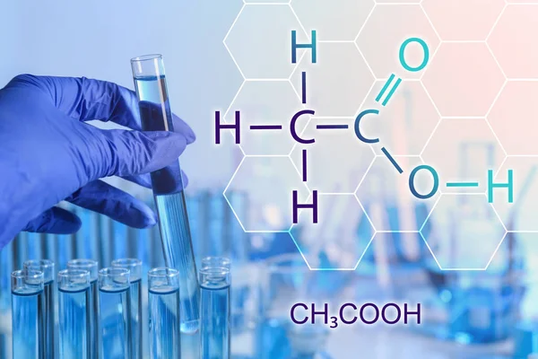 Doktor deney tüpünü laboratuarda numuneyle tutuyor, yakın plan.