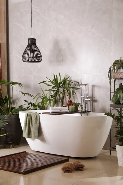 Baignoire Blanche Moderne Belles Plantes Intérieur Vertes Dans Salle Bain — Photo