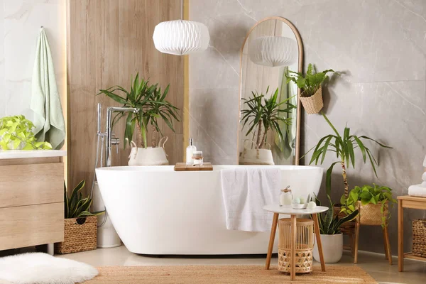 Современные Белые Тубы Красивые Зеленые Домашние Растения Ванной Комнате Дизайн — стоковое фото