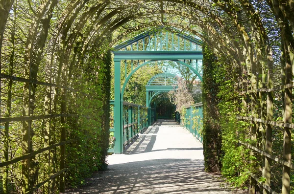 Caminho Com Arco Verde Através Belo Jardim — Fotografia de Stock