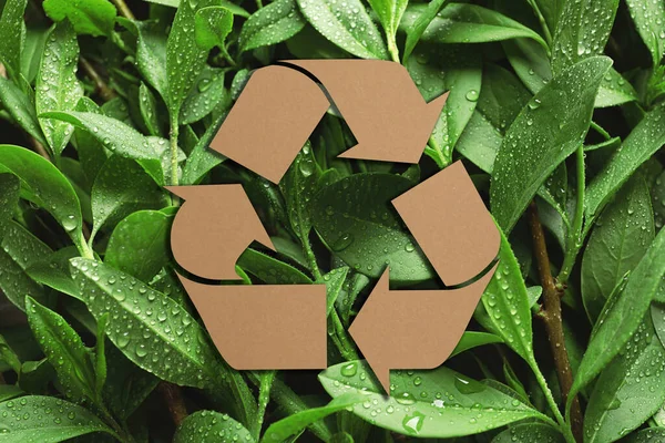 Simbolo Riciclaggio Ritagliato Carta Kraft Foglie Verdi Fresche Sullo Sfondo — Foto Stock