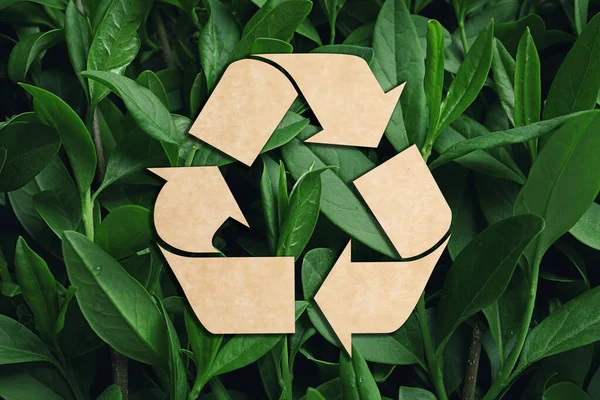 Recycling Symbool Gesneden Uit Kraftpapier Verse Groene Bladeren Achtergrond — Stockfoto