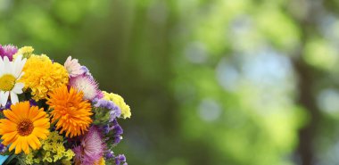 Güneşli bir günde açık havada güzel yabani çiçekler, yazı için yer. Pankart tasarımı