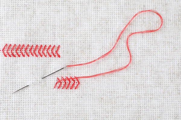 Canvas Red Embroidery Needle Top View — Foto de Stock