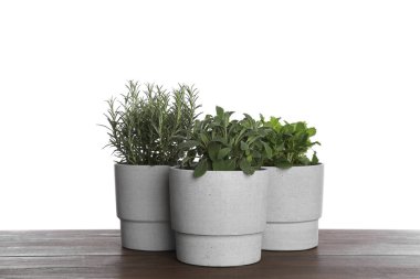 Pots with sage, mint and rosemary on wooden table against white background