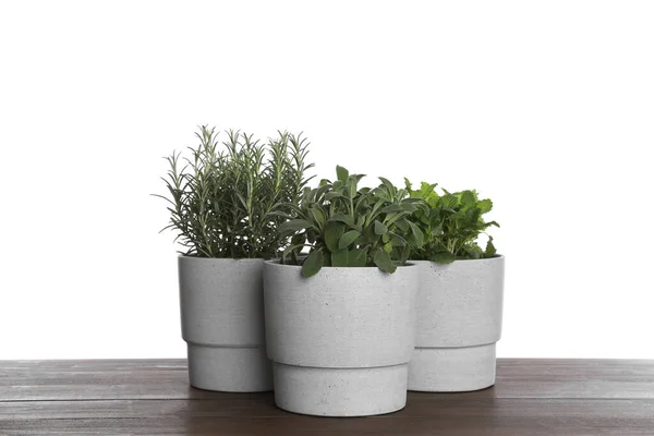 Pots Sage Mint Rosemary Wooden Table White Background — Stock Photo, Image