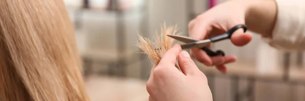 Estilista Corte Cabello Cliente Salón Profesional Primer Plano Diseño Banner — Foto de Stock