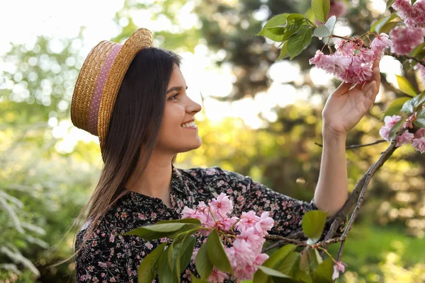 Beautiful Young Woman Blossoming Sakura Tree Park —  Fotos de Stock