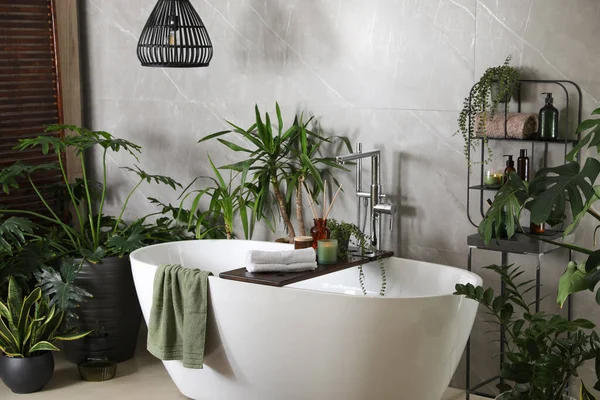 Modern White Tub Beautiful Green Houseplants Bathroom Interior Design — Stock Photo, Image