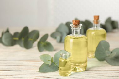 Okaliptüs esaslı yağ ve ağaç dalları beyaz ahşap masa üzerinde. Metin için boşluk