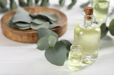 Okaliptüs şişeleri beyaz mermer masa üzerinde gerekli yağ ve bitki dalları. Metin için boşluk