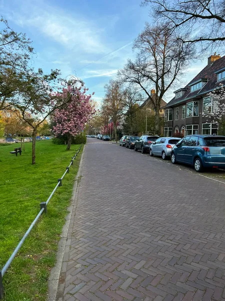 Many Cars Parked Houses Street — Photo