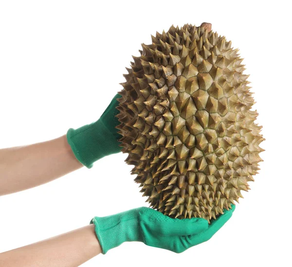 Woman Gloves Holding Fresh Ripe Durian White Background Closeup — Stock Photo, Image