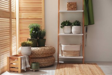 Odada farklı saksı bitkileri var. İç tasarım