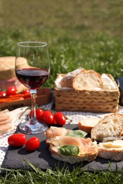 Yeşil çimenlerde piknik için şarap ve atıştırmalık battaniye.