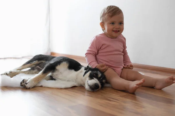 Entzückendes Baby Und Süßer Hund Auf Kunstpelzteppich Drinnen — Stockfoto