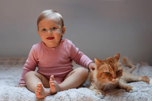 Bambino Adorabile Simpatico Gatto Rosso Sul Letto Casa — Foto Stock