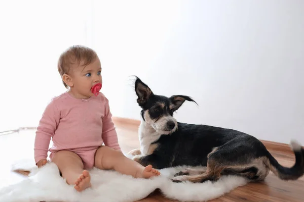 Schattige Baby Met Fopspeen Schattige Hond Faux Fur Tapijt Binnen — Stockfoto