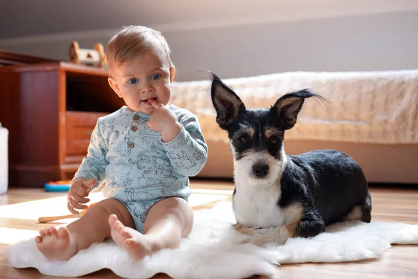 Bedårande Baby Och Söt Hund Faux Päls Matta Hemma — Stockfoto