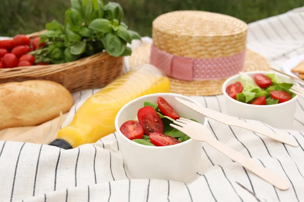 Coperta Picnic Con Succo Cibo All Aperto — Foto Stock