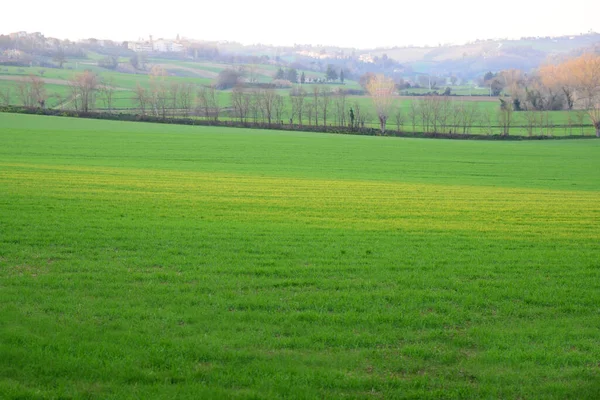 Hermosa Vista Del Césped Verde Pueblo — Foto de Stock