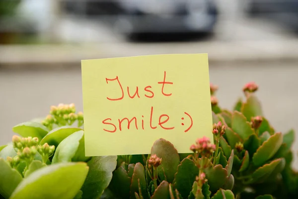 Opmerking Met Handgeschreven Tekst Gewoon Glimlachen Tussen Mooie Planten Tegen — Stockfoto